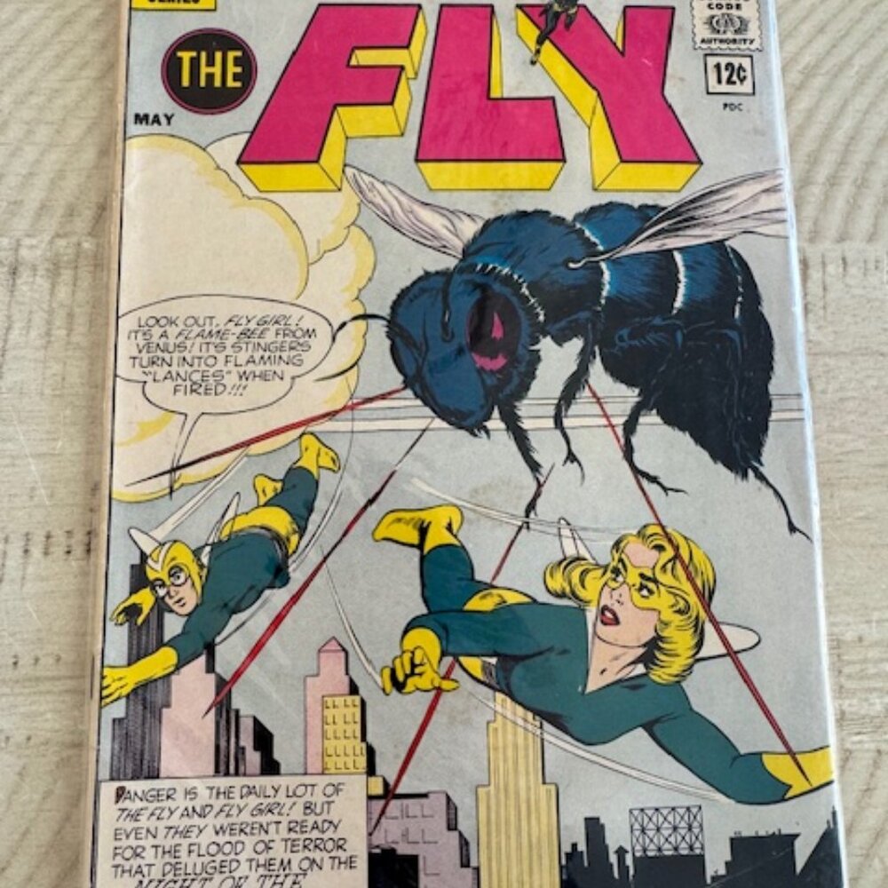 Rare, vintage Archie Adventure Series Adventure of the Fly #19 May 1962 (silver)